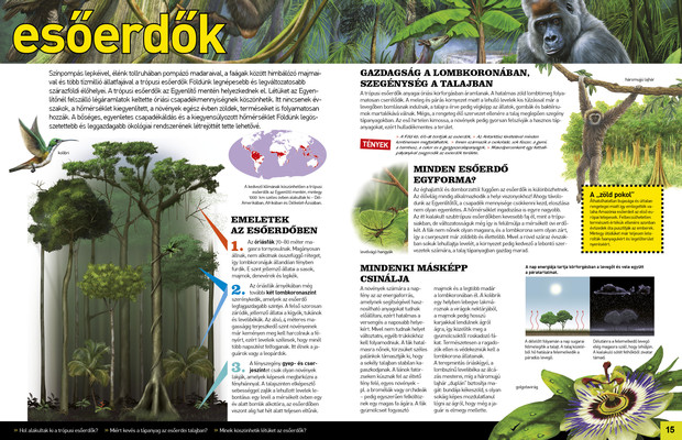 Az élet körforgása – Erdők