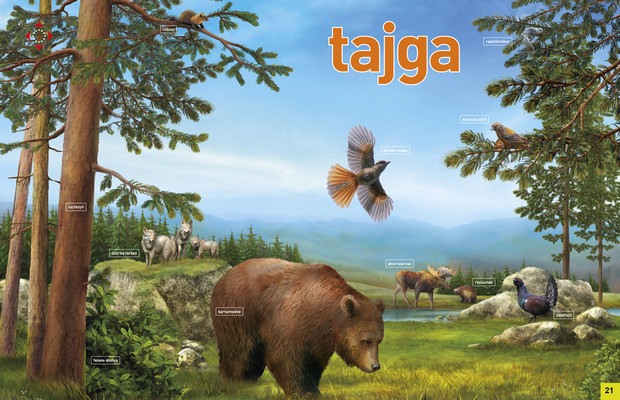 Az élet körforgása – Erdők