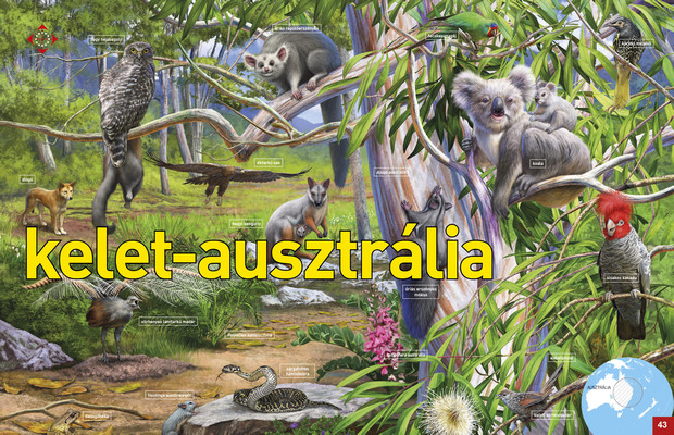 Az élet körforgása – Erdők