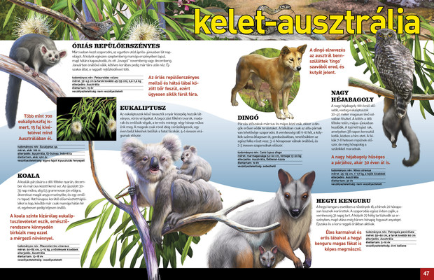 Az élet körforgása – Erdők