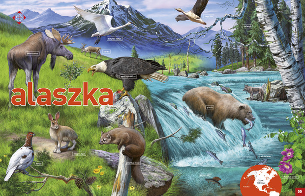 Az élet körforgása – Erdők