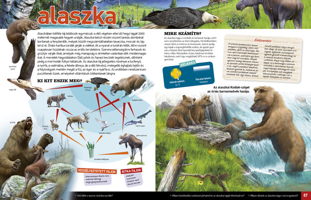 Az élet körforgása – Erdők