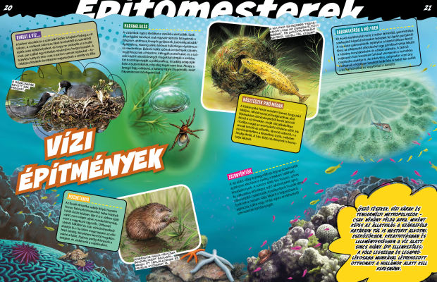 Az állatvilág mesterei 2. - Született művészek