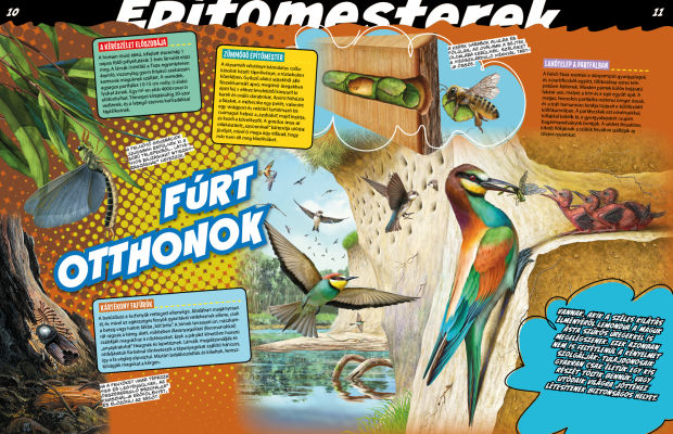 Az állatvilág mesterei 2. - Született művészek