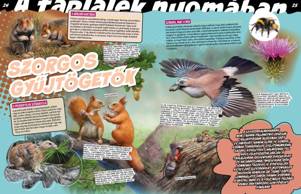 Az állatvilág mesterei 3. - A zsákmányszerzés mestersége