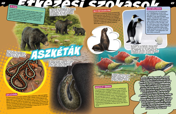 Az állatvilág mesterei 3. - A zsákmányszerzés mestersége