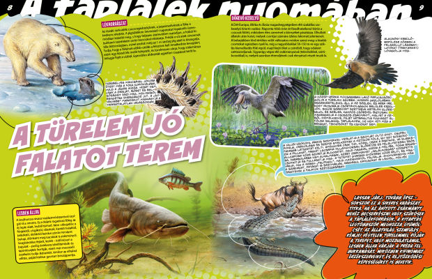 Az állatvilág mesterei 3. - A zsákmányszerzés mestersége