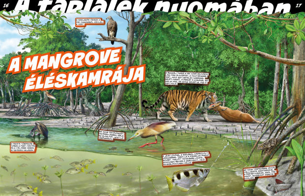 Az állatvilág mesterei 3. - A zsákmányszerzés mestersége