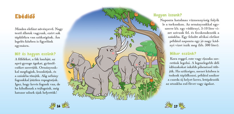 Ismerd meg az elefántot!