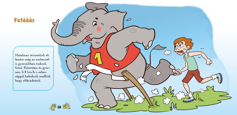 Ismerd meg az elefántot!