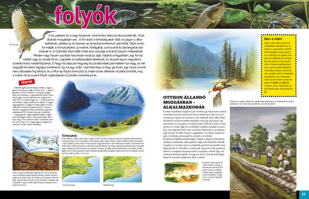 Az élet körforgása – Édesvizek