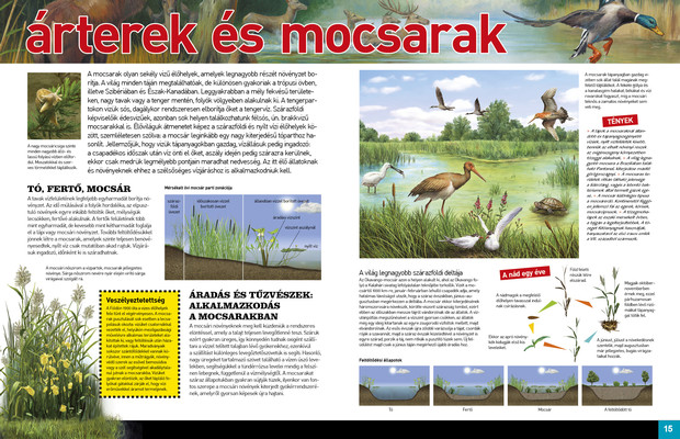 Az élet körforgása – Édesvizek