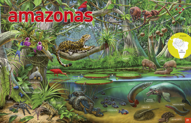 Az élet körforgása – Édesvizek