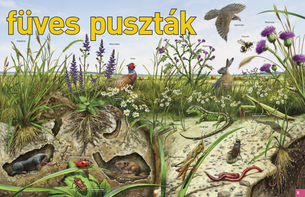 Az élet körforgása (3.) - Pusztaságok