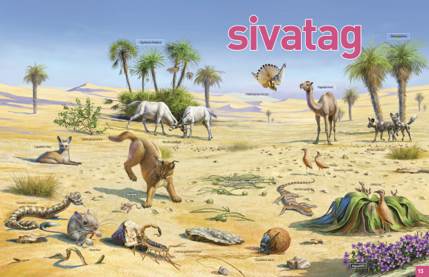 Az élet körforgása (3.) - Pusztaságok