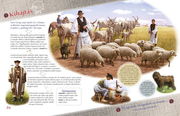 Mesterségünk címere