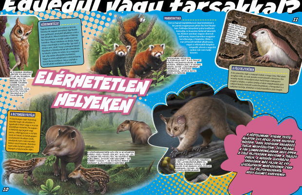 Az állatvilág mesterei 4. - A túlélés bajnokai