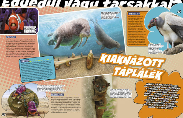 Az állatvilág mesterei 4. - A túlélés bajnokai