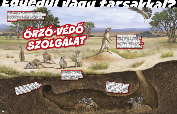 Az állatvilág mesterei 4. - A túlélés bajnokai