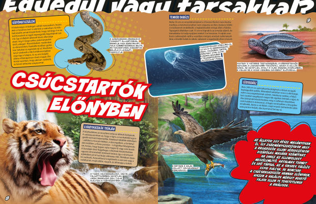 Az állatvilág mesterei 4. - A túlélés bajnokai