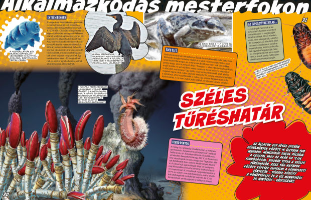 Az állatvilág mesterei 4. - A túlélés bajnokai