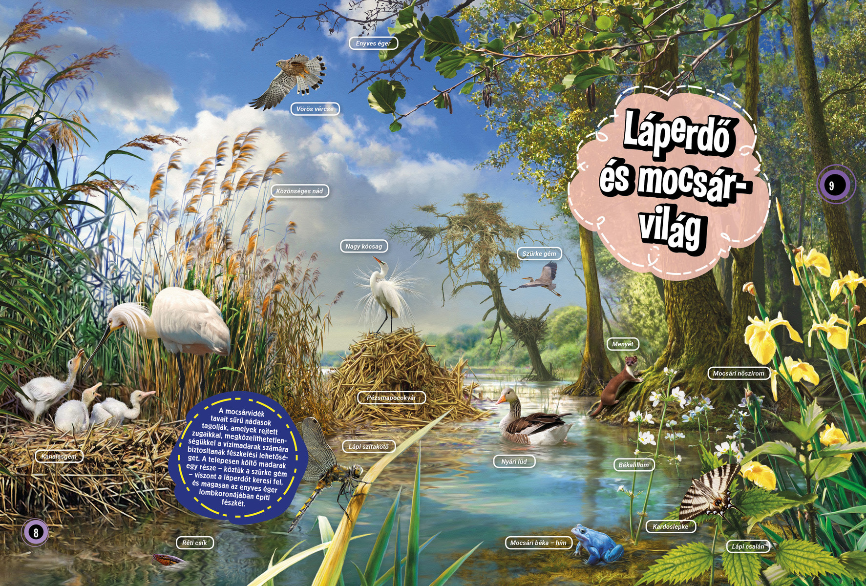 Magyarország vadvilága