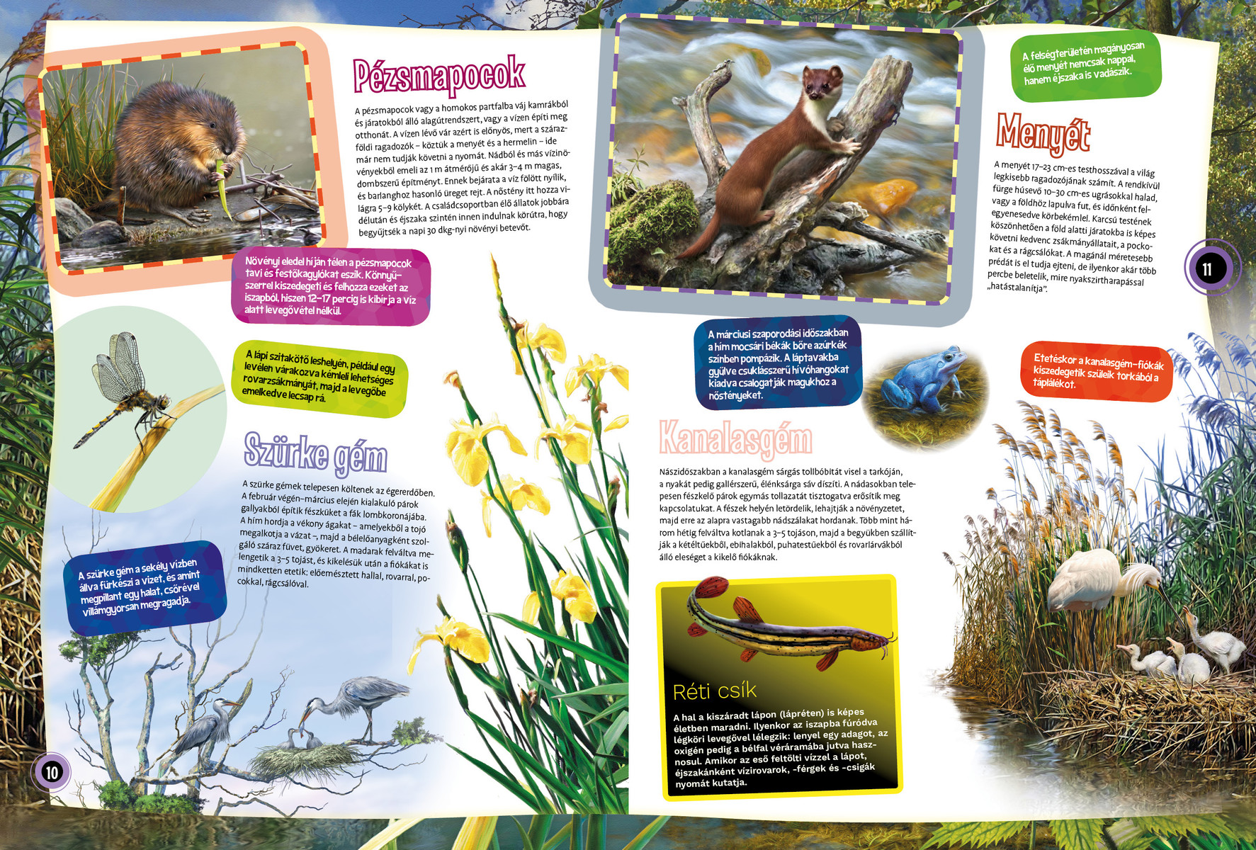 Magyarország vadvilága