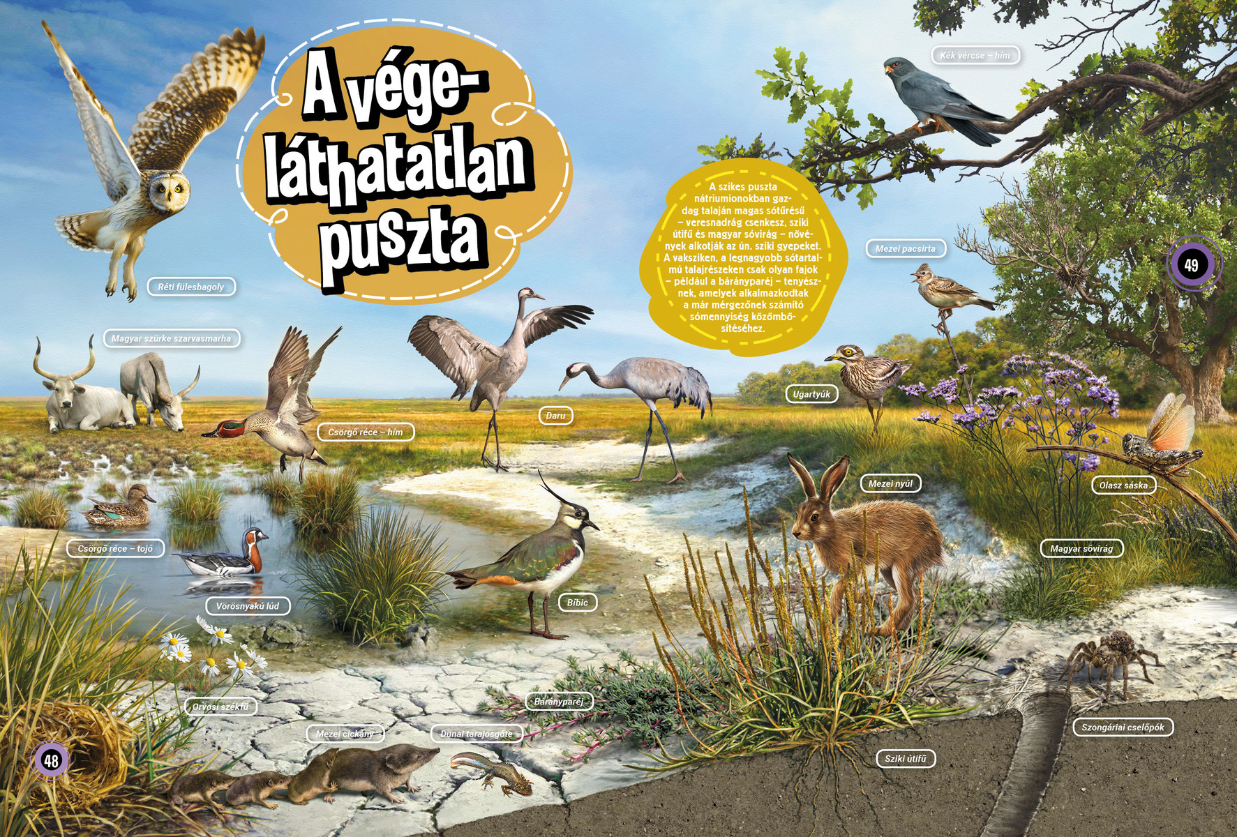 Magyarország vadvilága