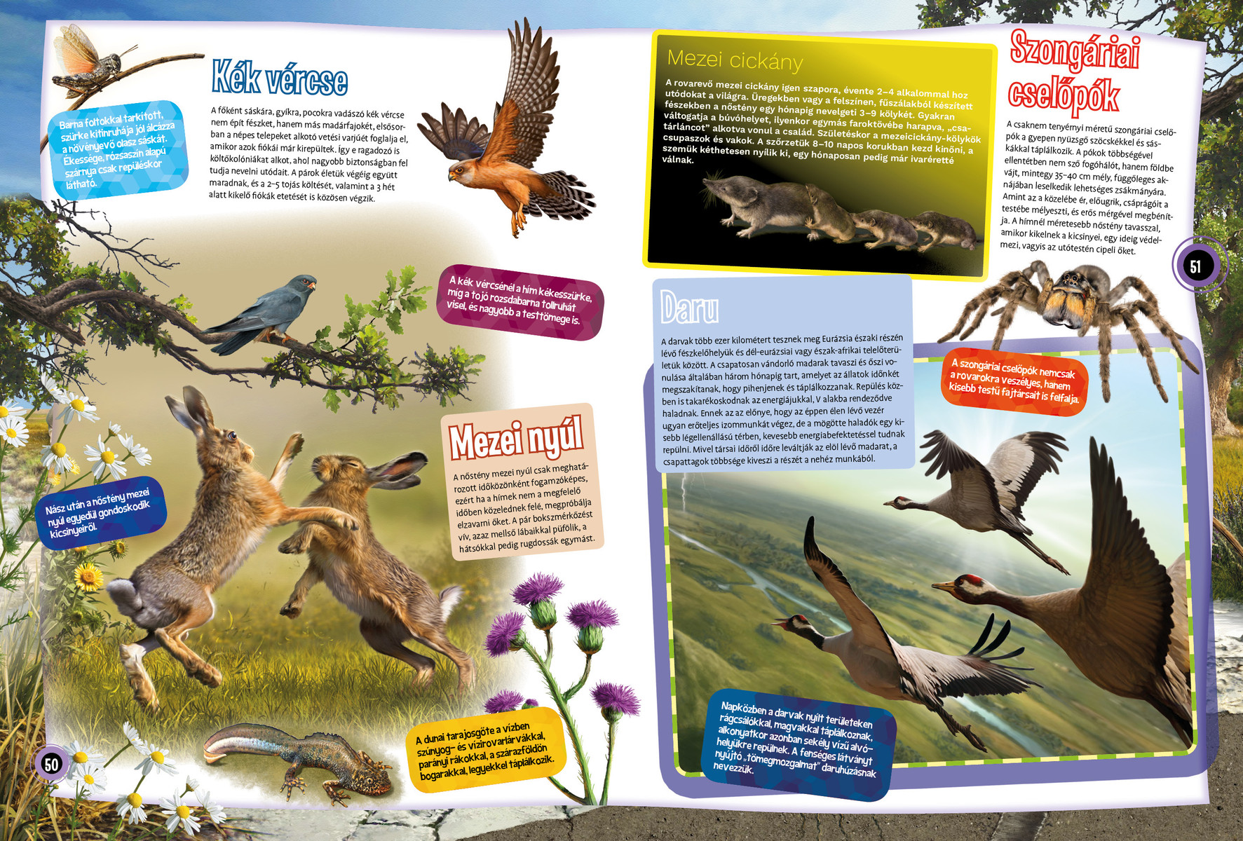 Magyarország vadvilága