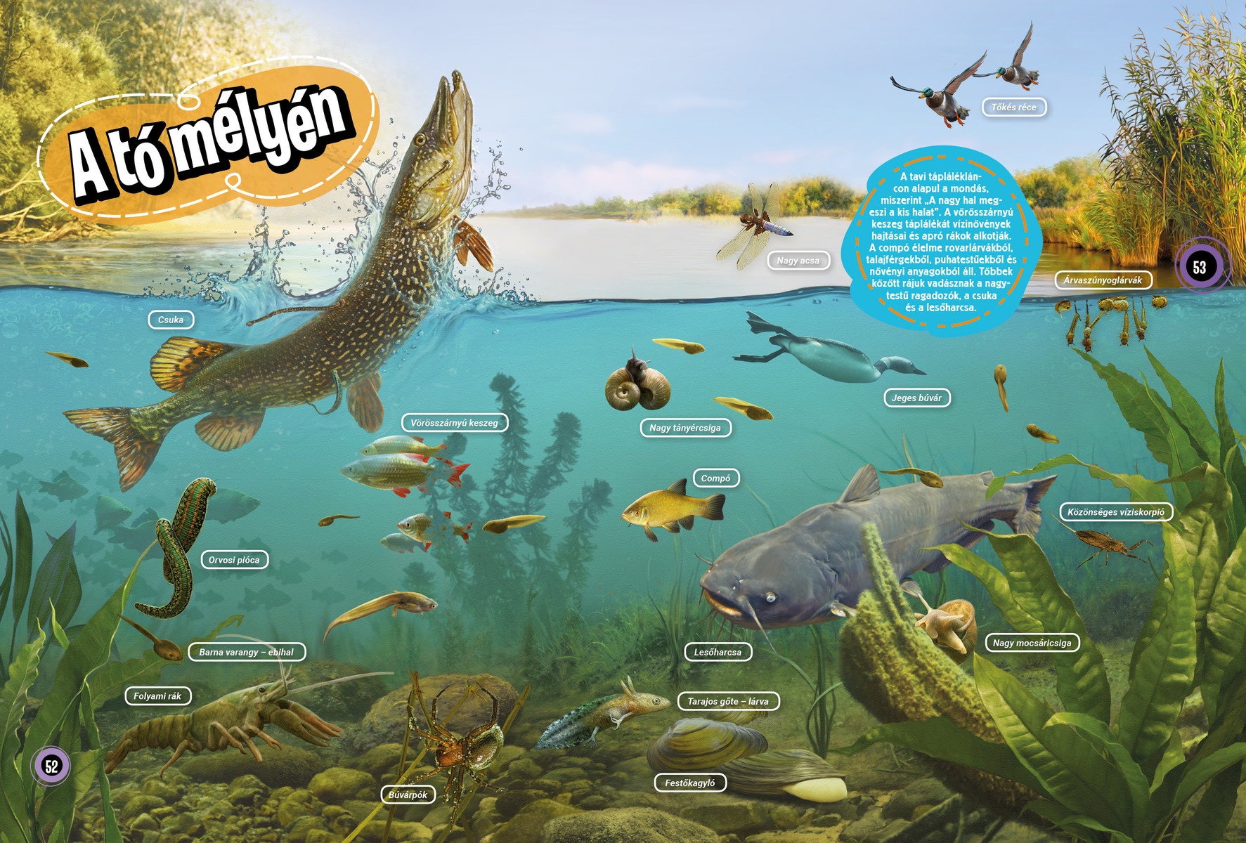 Magyarország vadvilága