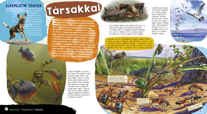 Elképesztő világ - Ragadozók