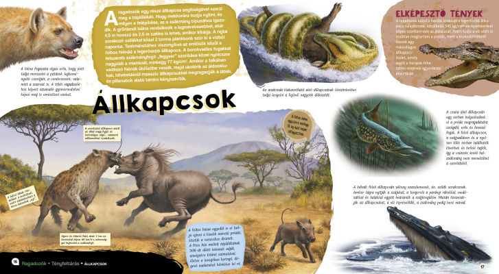 Elképesztő világ - Ragadozók