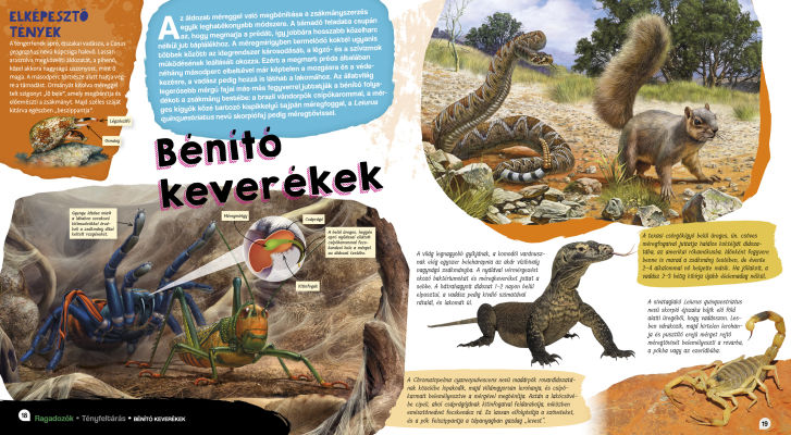 Elképesztő világ - Ragadozók