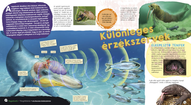 Elképesztő világ - Ragadozók