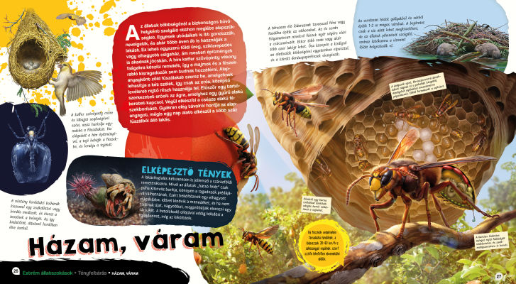 Elképesztő világ - Extrém állatszokások