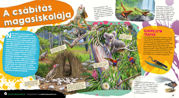 Elképesztő világ - Extrém állatszokások