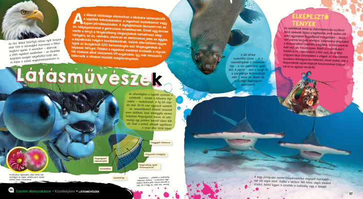 Elképesztő világ - Extrém állatszokások