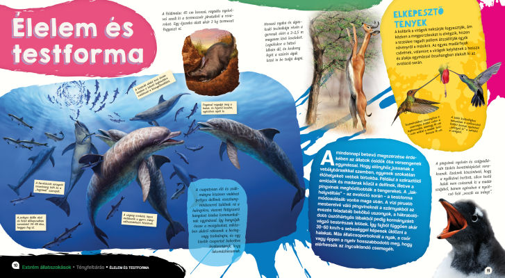 Elképesztő világ - Extrém állatszokások