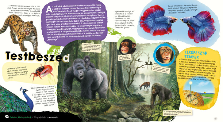 Elképesztő világ - Extrém állatszokások