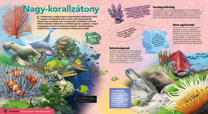 Természet - Ismerkedés a világgal