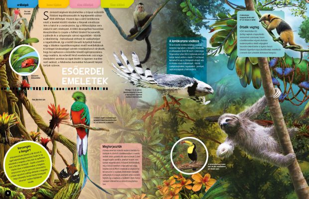 Állatlesen 2019 - Otthonok és szokások