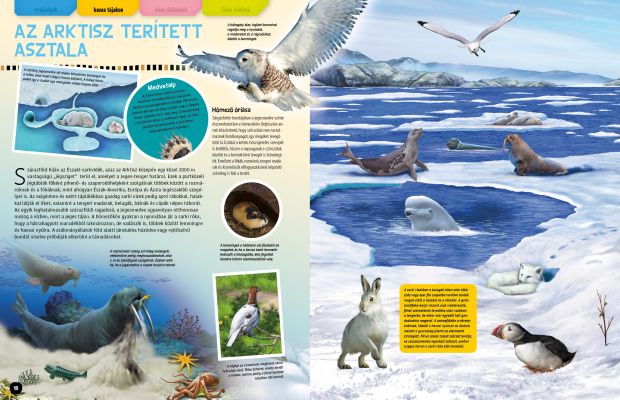 Állatlesen 2019 - Otthonok és szokások