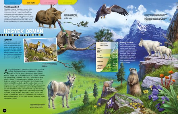 Állatlesen 2019 - Otthonok és szokások