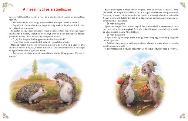 Magyar népmesék - Olvasókönyv