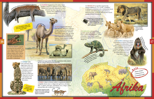 A világ állatai