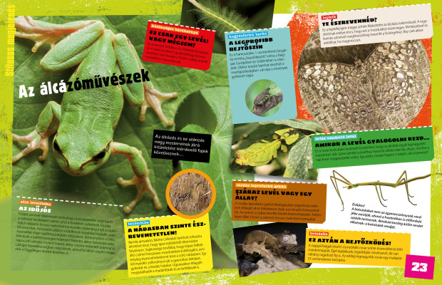 Tények és tévhitek – Megdöbbentő tények az állatvilágból