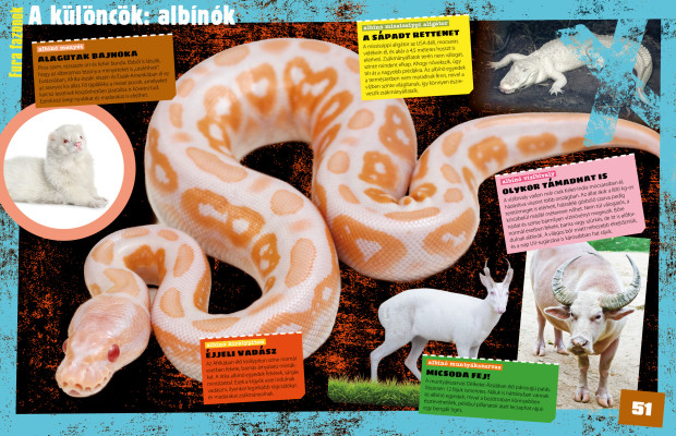 Tények és tévhitek – Megdöbbentő tények az állatvilágból