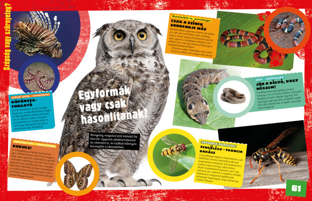 Tények és tévhitek – Megdöbbentő tények az állatvilágból