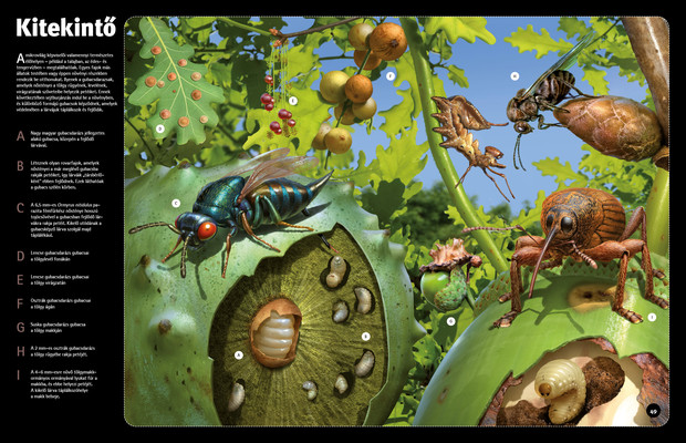 Mikrovilág – parányi élőlények nyomában