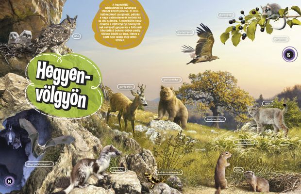 Magyarország állatvilága